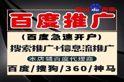 谷歌SEM与移动端优化：某APP的推广策略及效果
